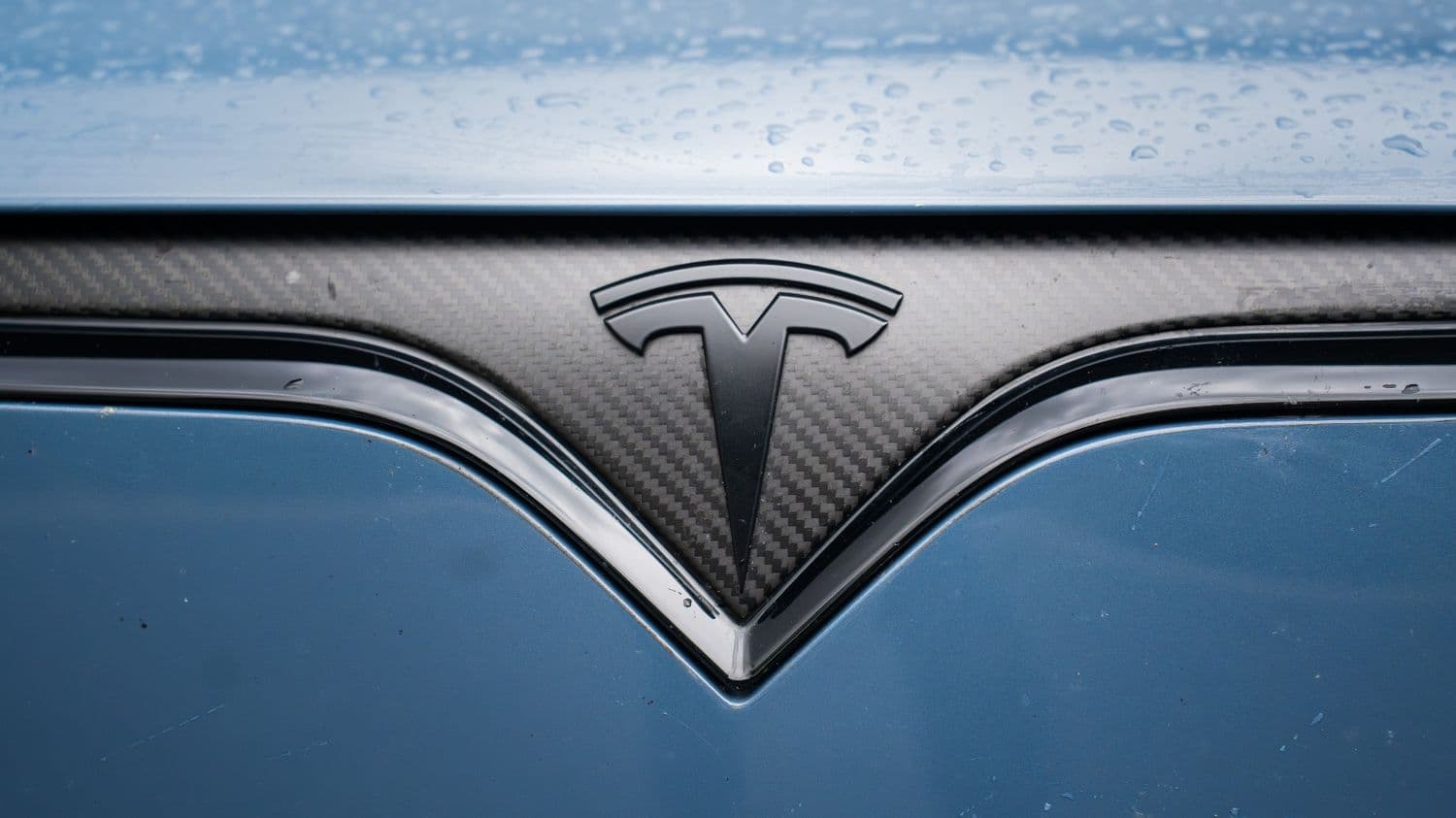 Blacked-out Tesla badge over carbon fiber trim